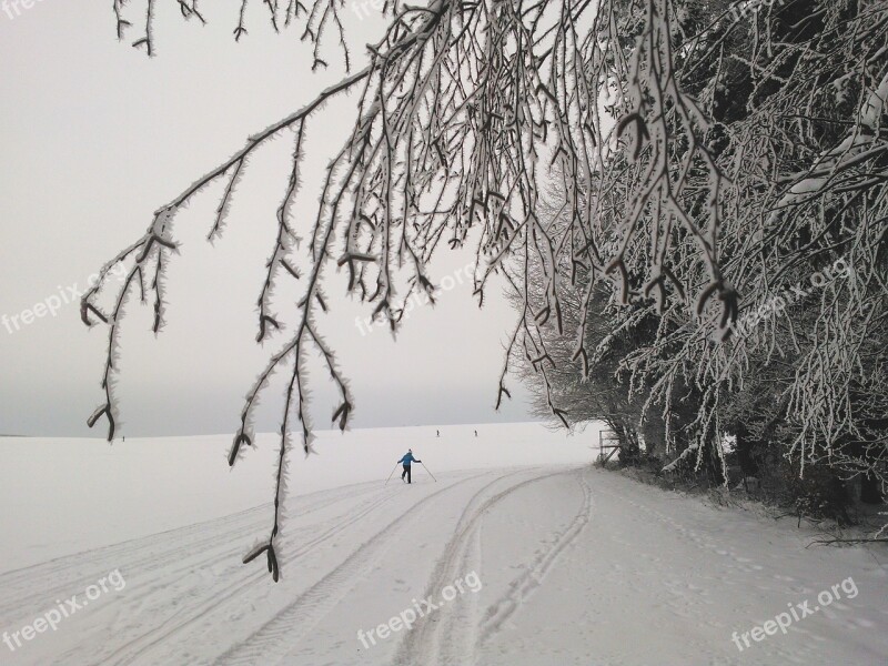 Cross Country Skiing Long Skiing Tracks Ski Trails Snow Winter