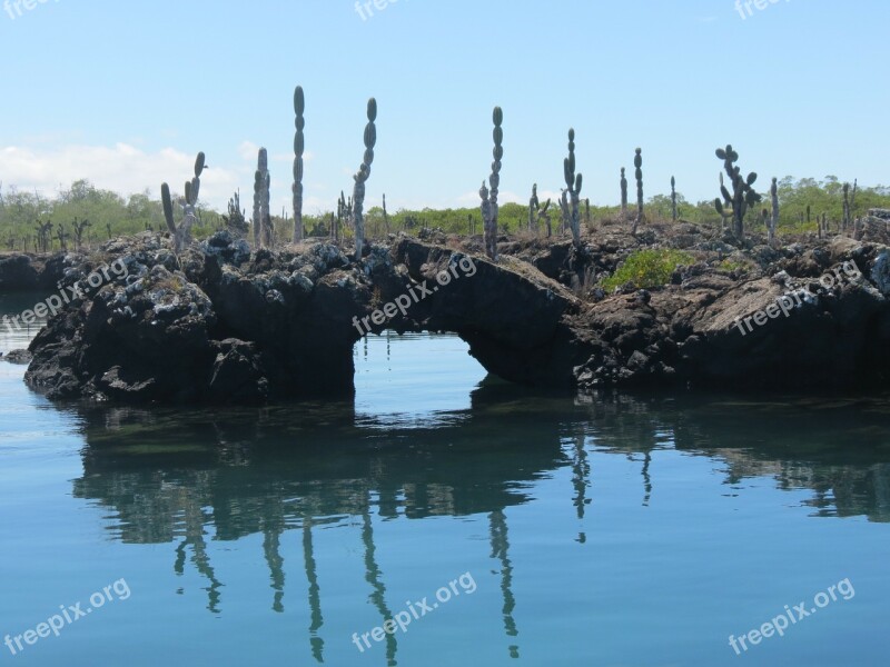 Lava Tunnel Galapagos Islands Ecuador Free Photos