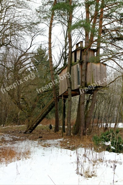 Treehouse Tree Tree Hut Woodhouse Retreat