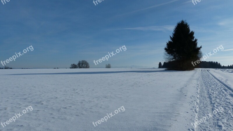 Allgäu Winter Snow Sun Panorama