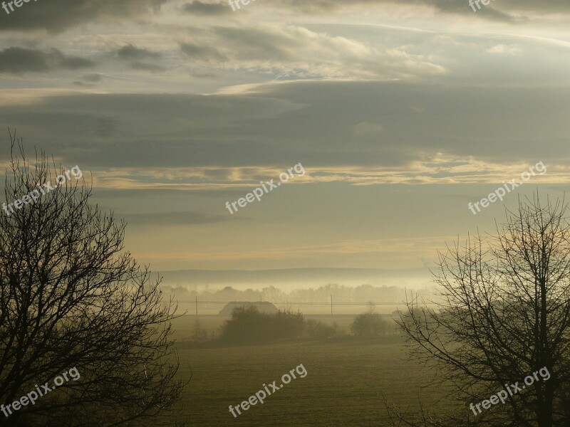 Dawn Fog The Rising Sun Nature Tree