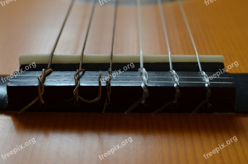 Guitar Close Up Musical Instrument Tailpiece Bridge