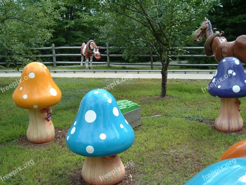 Playful Mushrooms Fun Amusement Playing