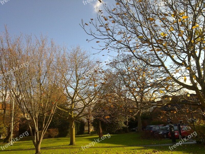 Park Garden Worcester England Trees