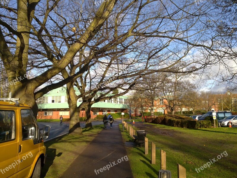 Worcester Tree Nature Outside Beautiful