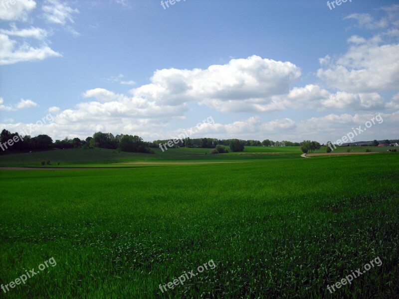 Landscape Meadow Sky Green Summer