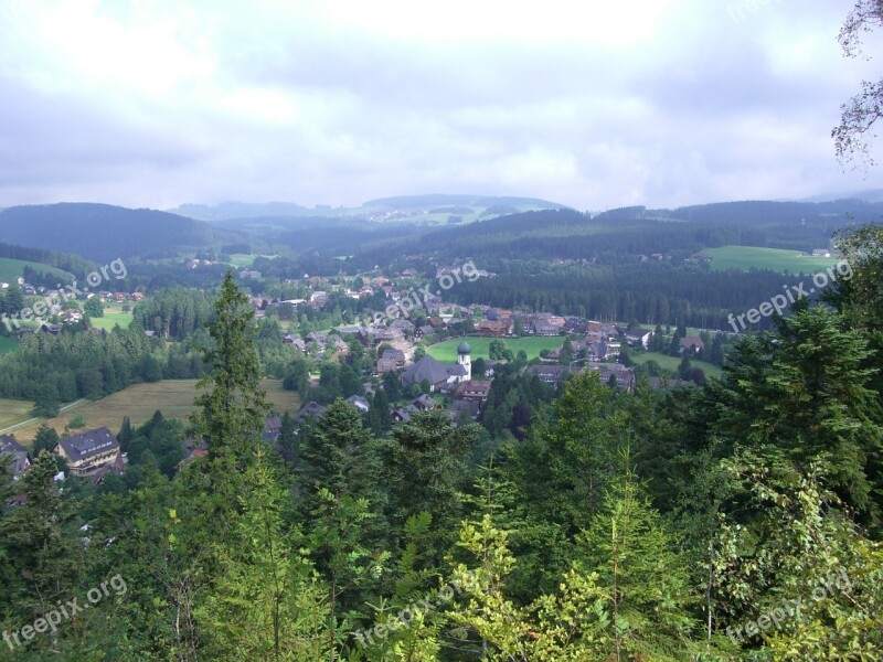 Hinterzarten Black Forest Outlook Firs Forests