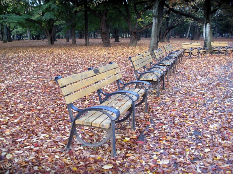 Park Benches Benches Park Rest Autumn