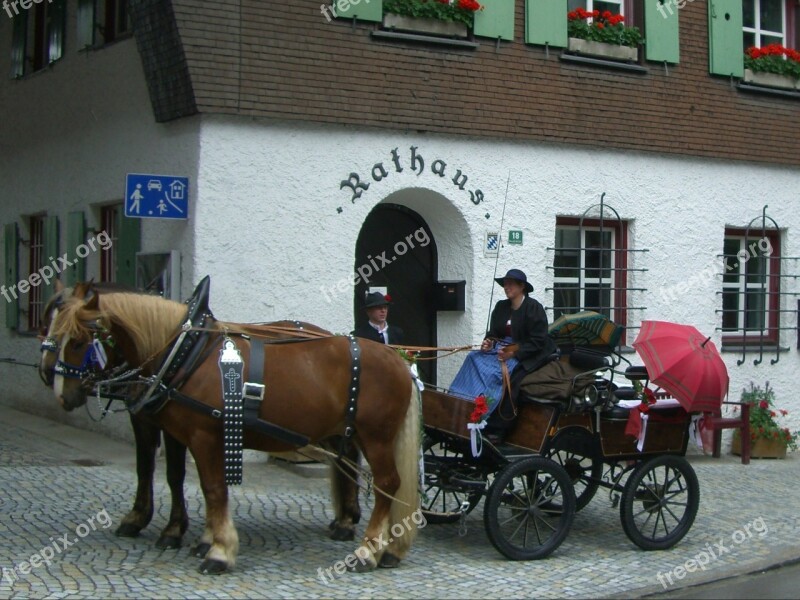 Horse Drawn Carriage Horse Ross Coach Coachman