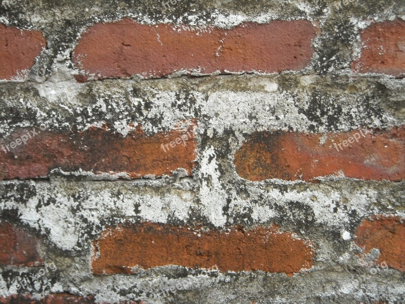 Wall Brick Cement Sand Red