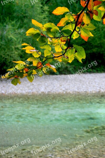 Austria Attersee Autumn Lake Nature