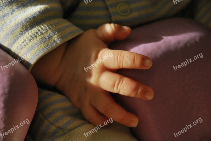 Baby Hand Child Cute Fingers