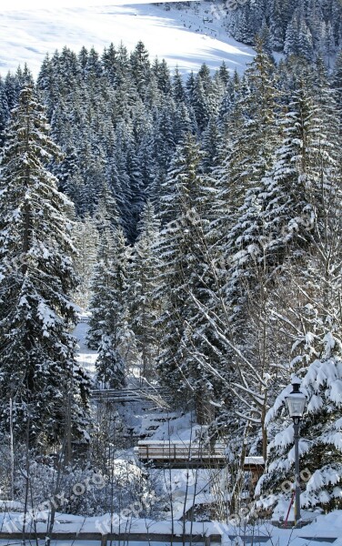 Snow Landscape Snowy Winter Sun Sparkle