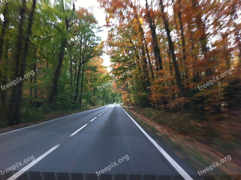 Road Autumn Speed Roadway Driving A Car