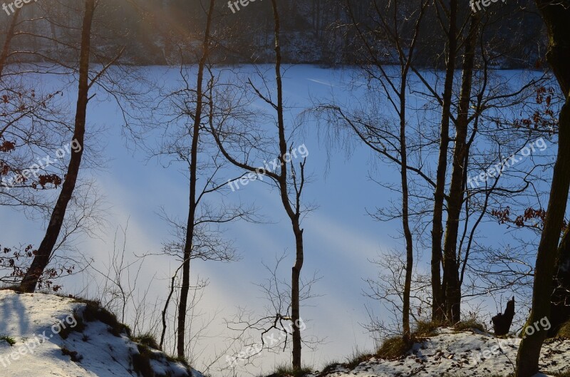 Wintry Geforener Lake Winter Forest Free Photos