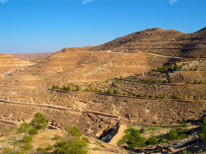 Hill Embankment Shrubs Sky Blue