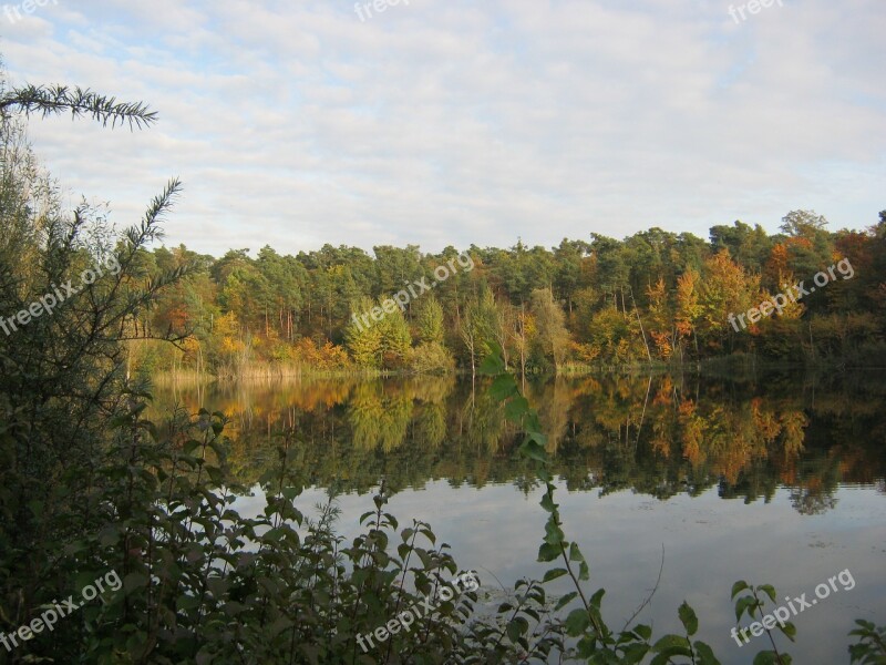 Pond Leaves Emerge Autumn Decoration