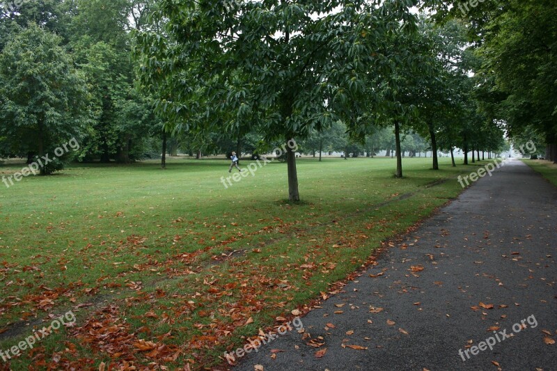 Loneliness Walk Autumn Reflection Fallen Leaves