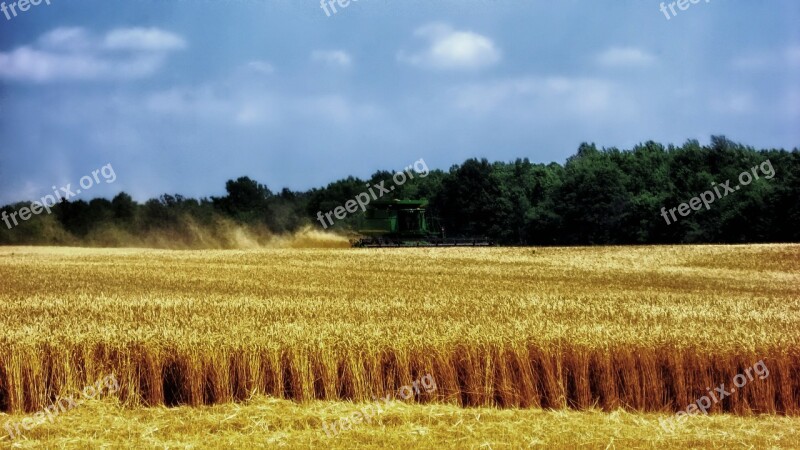 Ohio Wheat Harvest Harvesting Farm