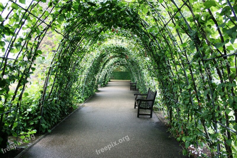 Tunnel Of Plants Garden Tunnel Green Bank Kensington Gardens