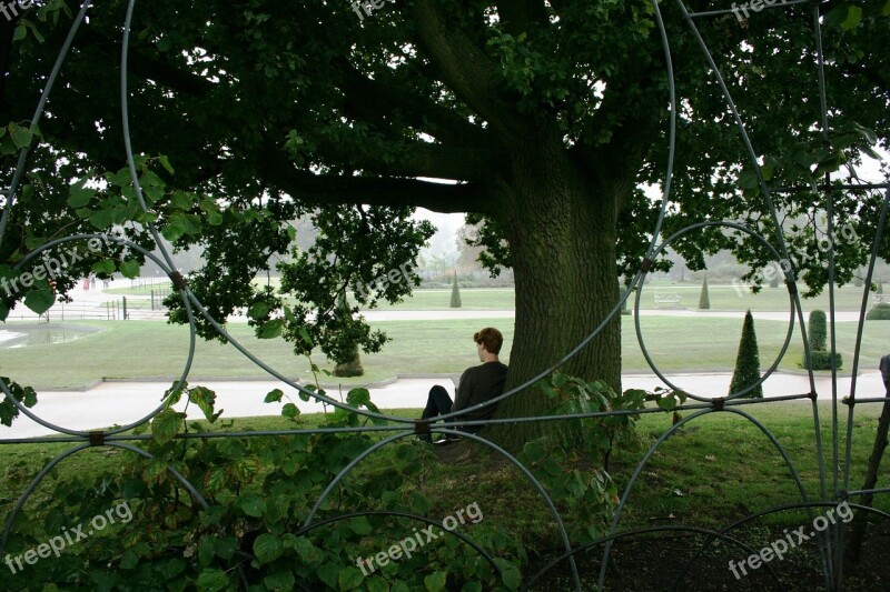 Reading Book Park Rain Loneliness