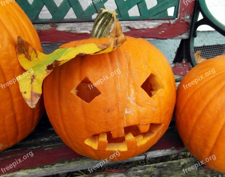 Pumpkin Gourd Harvest Thanksgiving Orange