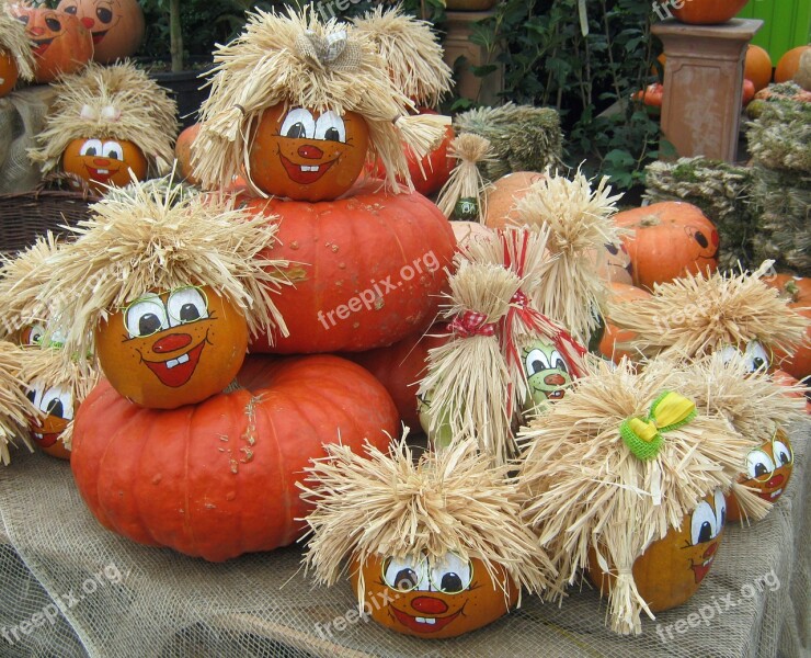 Pumpkin Gourd Harvest Thanksgiving Colorful