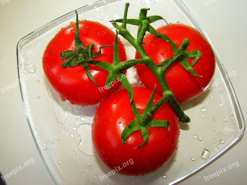 Tomatoes Vegetables The Tomatoes On The Branch Free Photos