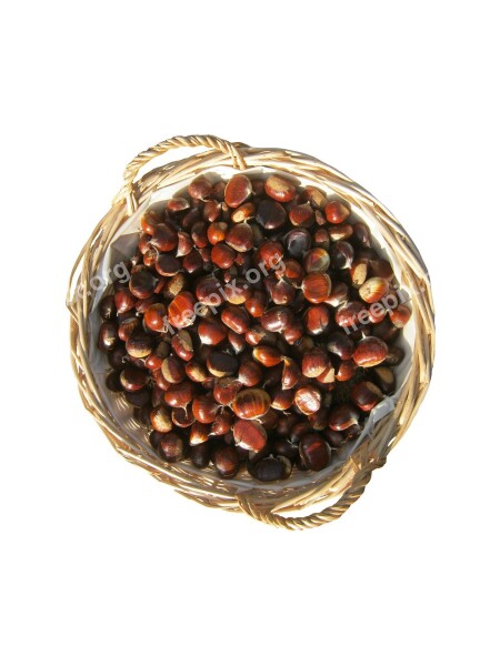 Maroni Sweet Chestnuts Basket Isolated Brown