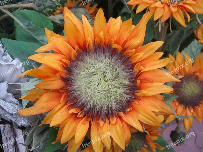 Sunflower Yellow Autumn Decoration Autumn Decoration