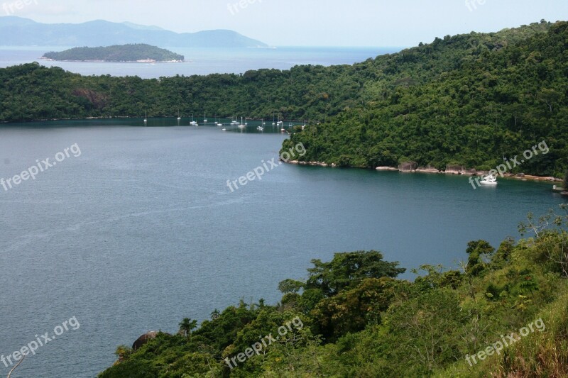 Mar Tropical Vegetation Atlantic Forest Vista Angra