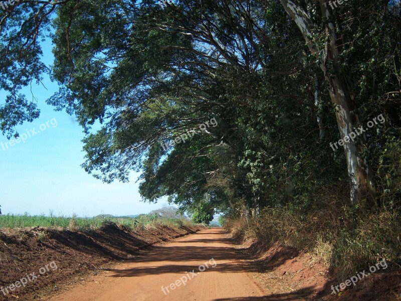 Dirt Road Clod Soil Road Farm Trees Free Photos