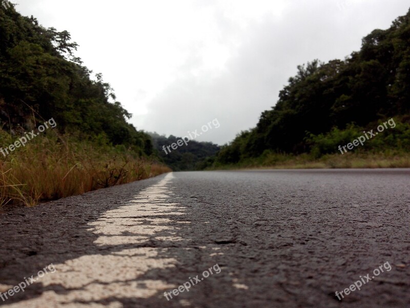 Nature Path Route Landscape Outdoors