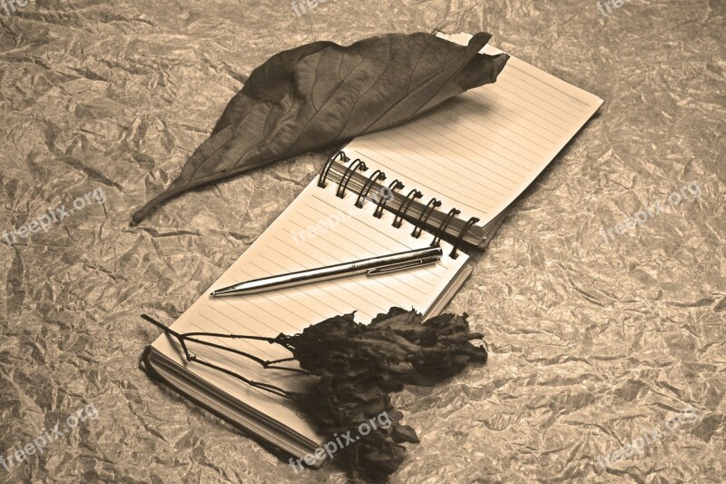 Notepad Dried Leaves Fine Art Light Painting Pen