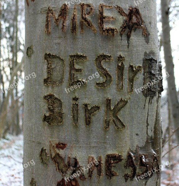 Tree Carved Name Symbol Engraved