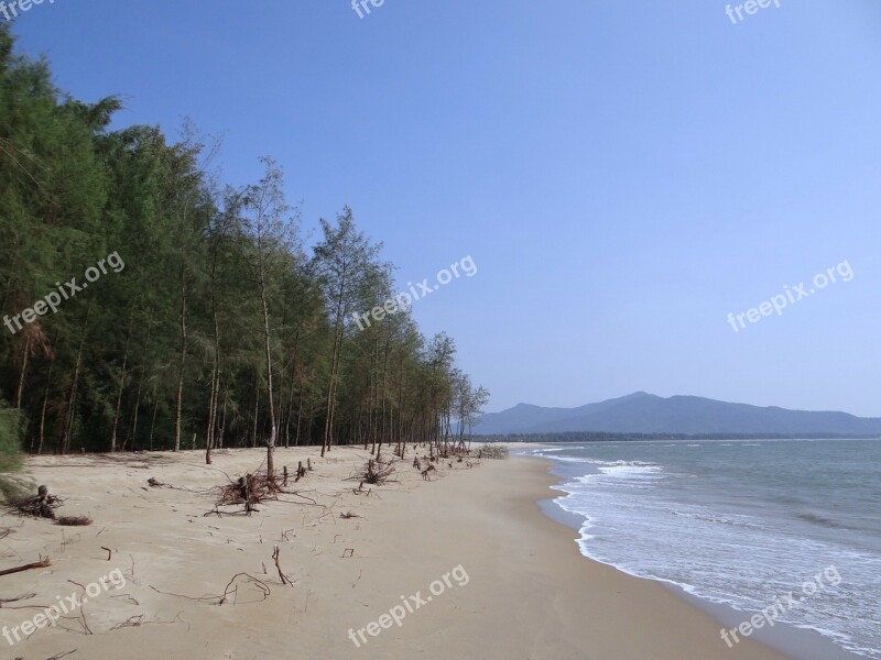 Beach White Sand Casuarina Forest Arabian Sea Karwar