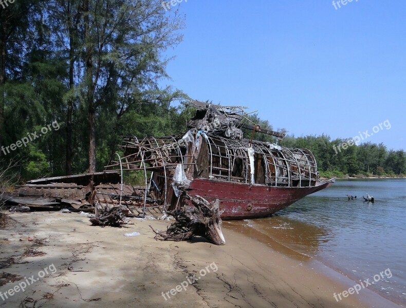 Tree Trunk Fallen Forest House-boat Wrecked