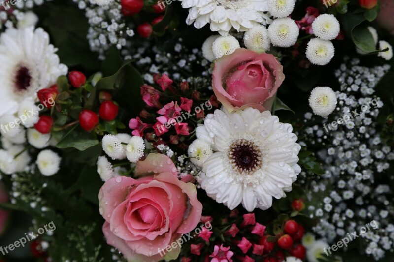 Bouquet Flowers Floristry Bloom Summer Meadow