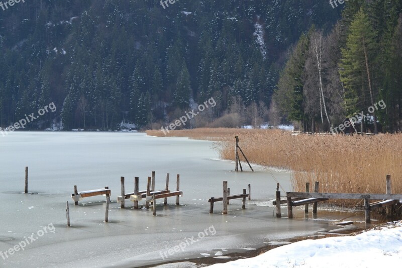 Ice Lake Winter Reed Allgäu