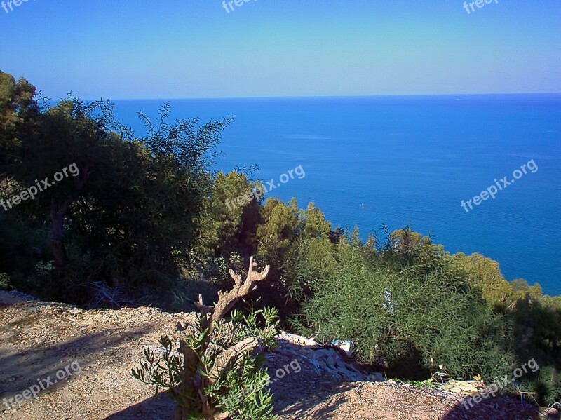 View Sea Mediterranean Sea Shrubs Sidi Bou Said