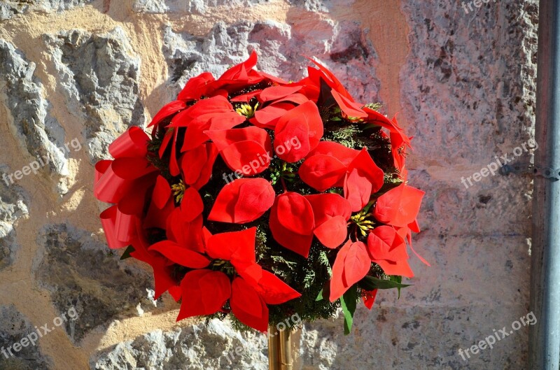 Arrangement Blumenstock Mallorca Sun Spring