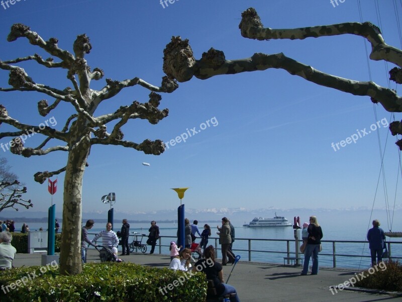 Easter Walk Lake Constance Sycamore Promenade Friedrichshafen