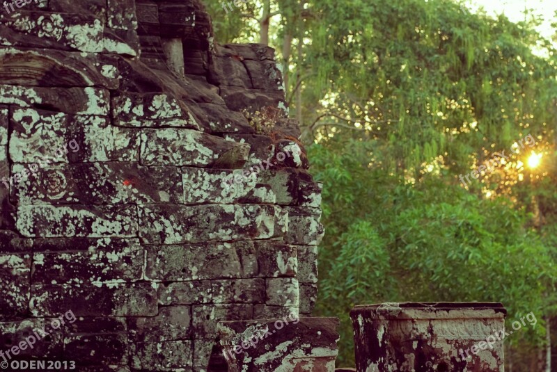 Stone Trees Green Siem Reap Angkor Thom