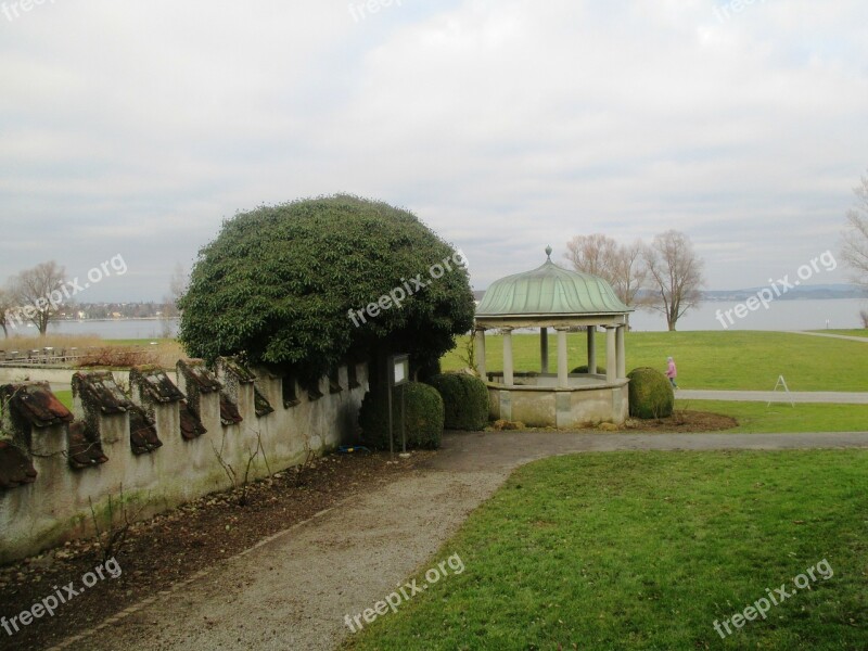 Pavilion Way Park Trees Wall