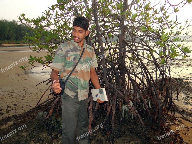 Mangrove Forest Guide Swamp Aerial Roots