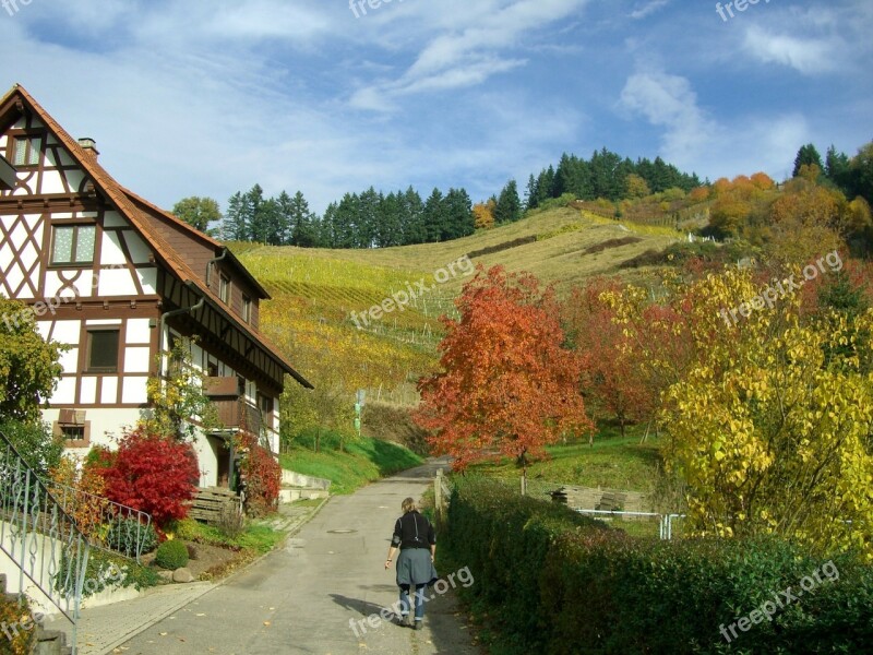 Vineyard Autumn Colorful Fachwerkhaus Sky