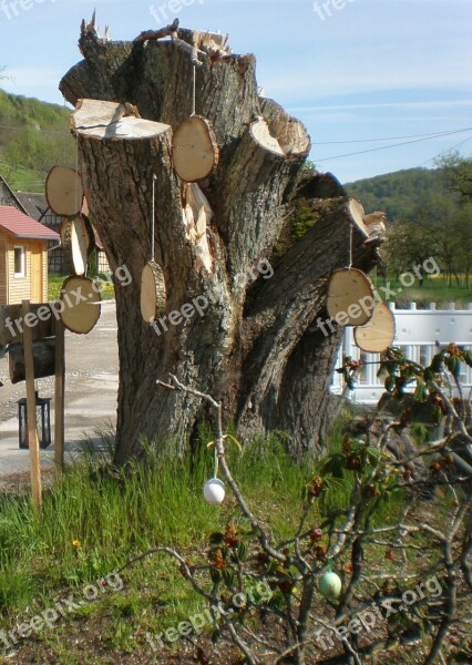 Easter Tree Easter Tree Stump Hung Tree Grates