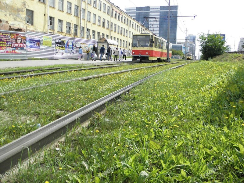 Tram Grass Transport Vehicle Free Photos