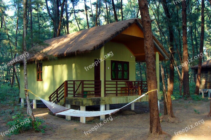 Log Hut Wood Cabin Slanted Roof Forest