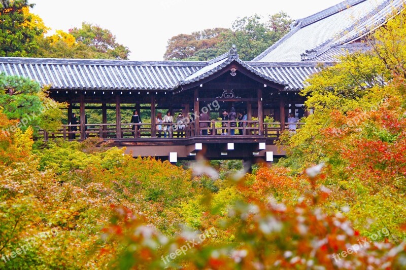 Temple Tofukuji Temple Shrine Scenery Maple Leaves